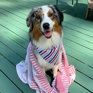 USA Turkish Beach Towel