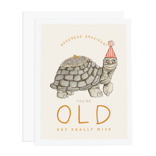 Old Turtle (9092309745950)