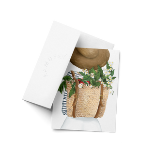 Harvest Girl Boxed Set