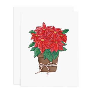 Poinsettia